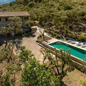 Muscarolas By 360 Pollenca